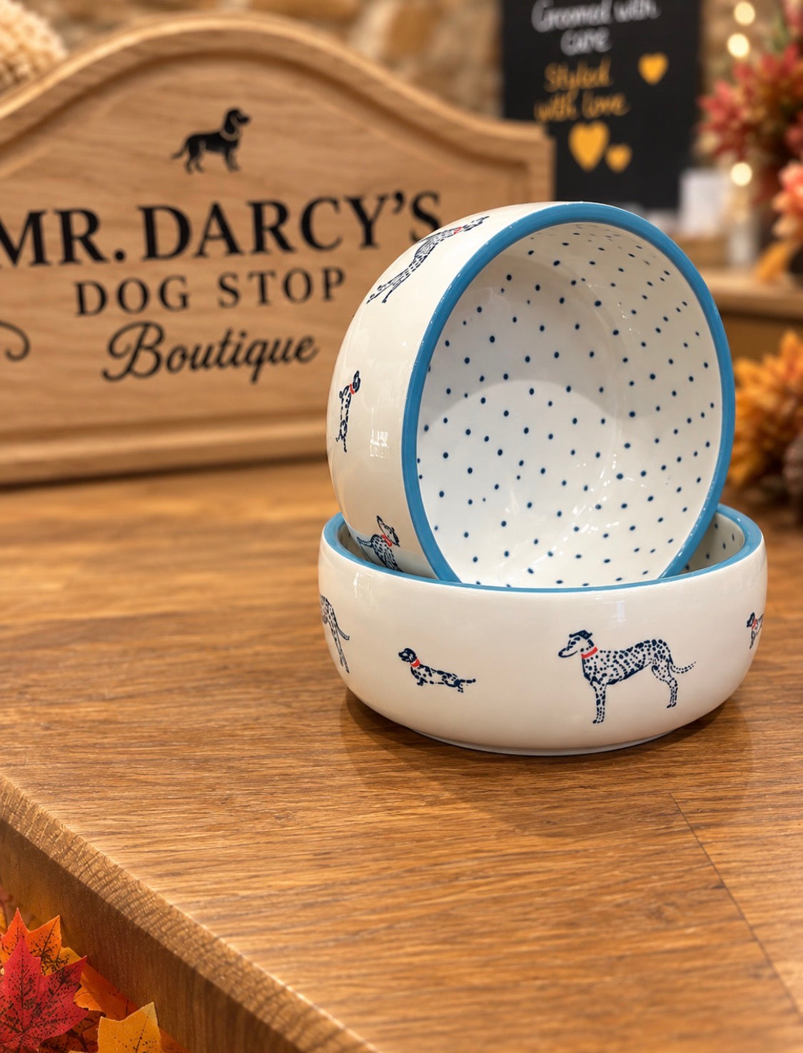 Sophie Allport Fetch Stoneware Dog Bowl
